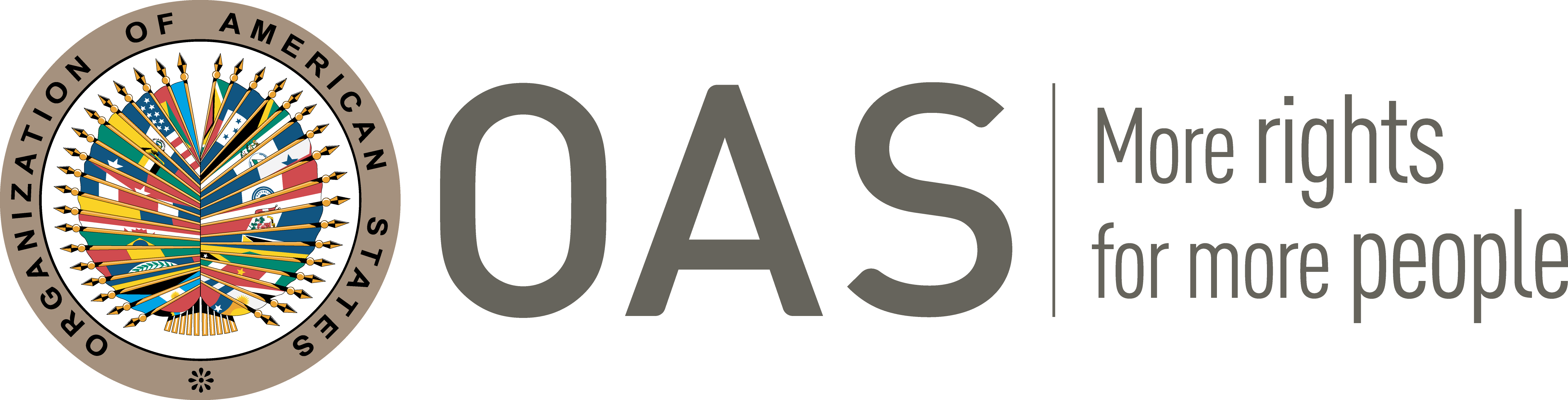 OAS Logo